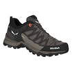 Dames outdoorschoenen Salewa  WS MTN Trainer Lite GTX Wallnut/Fluo Coral