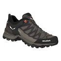 Dames outdoorschoenen Salewa  WS MTN Trainer Lite GTX Wallnut/Fluo Coral