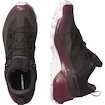 Dames outdoorschoenen Salomon  CROSS HIKE GTX 2 W