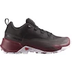 Dames outdoorschoenen Salomon  CROSS HIKE GTX 2 W