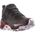 Dames outdoorschoenen Salomon CROSS HIKE GTX 2 W