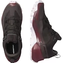 Dames outdoorschoenen Salomon  CROSS HIKE GTX 2 W