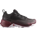 Dames outdoorschoenen Salomon CROSS HIKE GTX 2 W