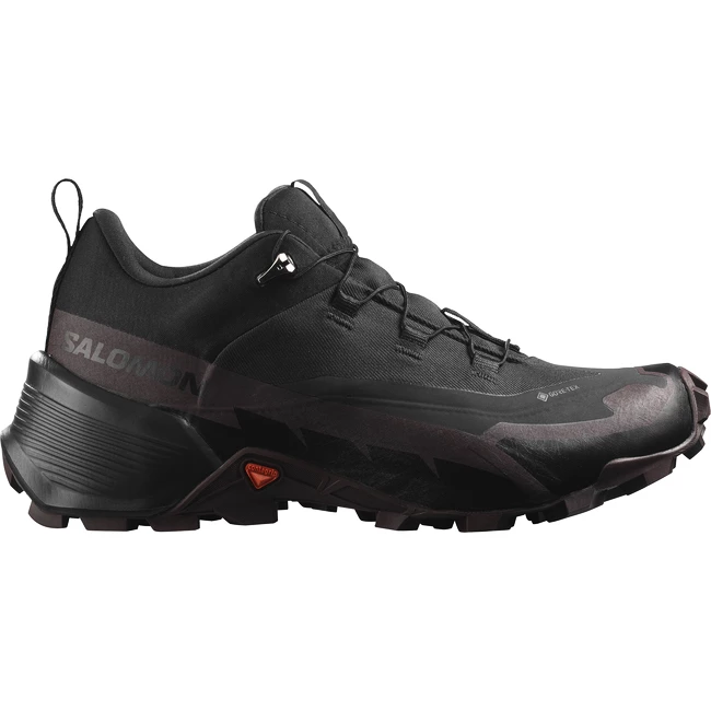 Dames outdoorschoenen Salomon  CROSS HIKE GTX 2 W
