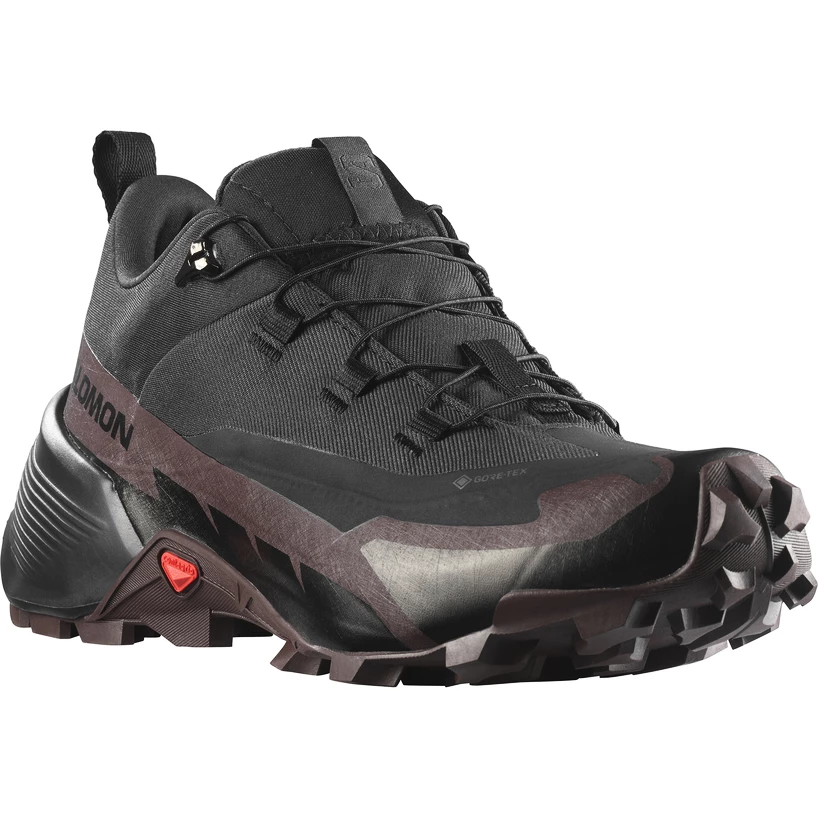 Dames outdoorschoenen Salomon  CROSS HIKE GTX 2 W