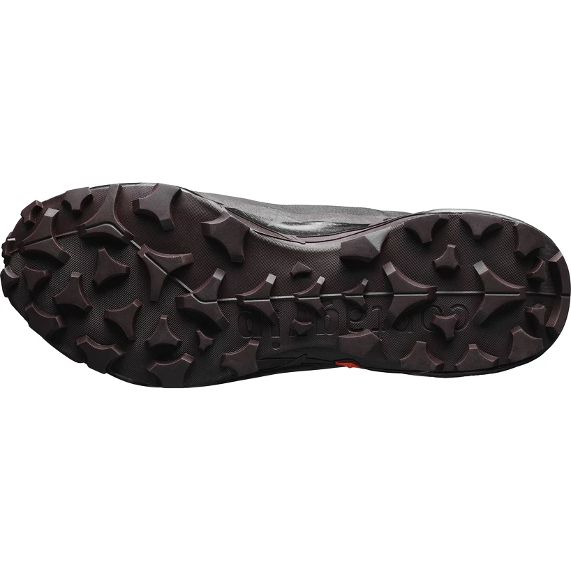 Dames outdoorschoenen Salomon  CROSS HIKE GTX 2 W