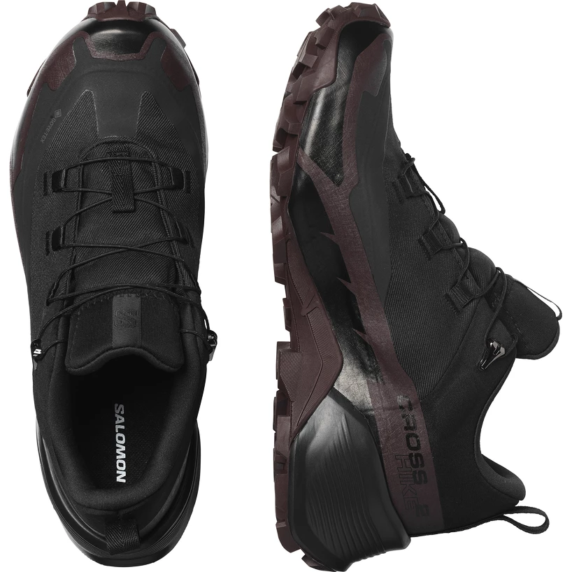 Dames outdoorschoenen Salomon  CROSS HIKE GTX 2 W