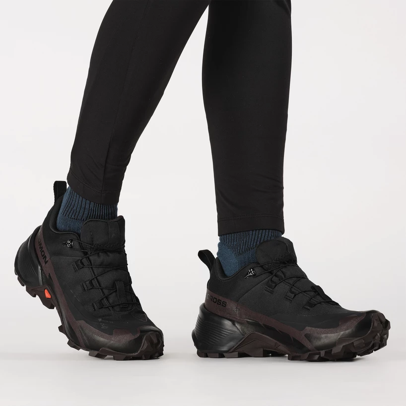 Dames outdoorschoenen Salomon  CROSS HIKE GTX 2 W