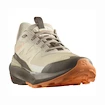 Dames outdoorschoenen Salomon ELIXIR ACTIV W White Pepper/Falcon/Papaya