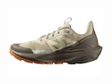 Dames outdoorschoenen Salomon ELIXIR ACTIV W White Pepper/Falcon/Papaya