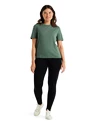 Dames T-shirt Icebreaker  W Central SS Tee SAGE