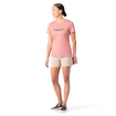 Dames T-shirt Smartwool Merino Sport 150 Dragonfly Summit Short Sleeve Light Mahogany