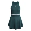 Damesjurk adidas  Tennis Climacool Y-Dress Aurora Ivy