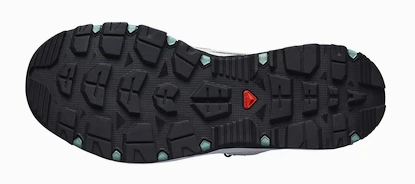 Damesschoenen Salomon  TECHAMPHIBIAN 5 W