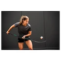 Damesshort Bauer  WMNS Team Train Short Black