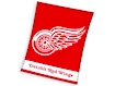 Deken Official Merchandise  NHL Detroit Red Wings Essential 150x200 cm