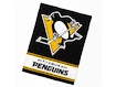 Deken Official Merchandise  NHL Pittsburgh Penguins Essential 150x200 cm