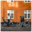 Fietsstoeltje Thule Yepp 2 Mini- Front Mount- Alaska