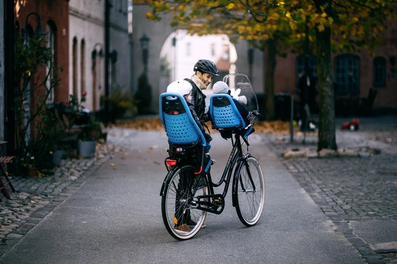 Fietsstoeltje Thule Yepp  Maxi Easy Fit