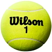 Grote tennisbal Wilson  Roland Garros 9" Jumbo Yellow