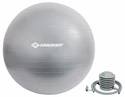 Gymnastiekbal Schildkröt  Gymnastický míč 65 cm šedý