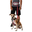 Hardloopriem Nathan  K9 Series Runner's Waistpack With Leash