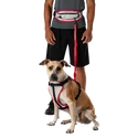 Hardloopriem Nathan K9 Series Runner's Waistpack With Leash