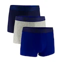 Heren boxershort Under Armour Perf Tech Solid 3in 3Pack Royal