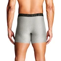 Heren boxershort Under Armour Perf Tech Solid 6in 3Pack Steel Heather