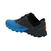 Heren hardloopschoenen Dynafit  Alpine Magnet