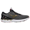 Heren hardloopschoenen Mizuno  Wave Skyrise 2 Frost Gray