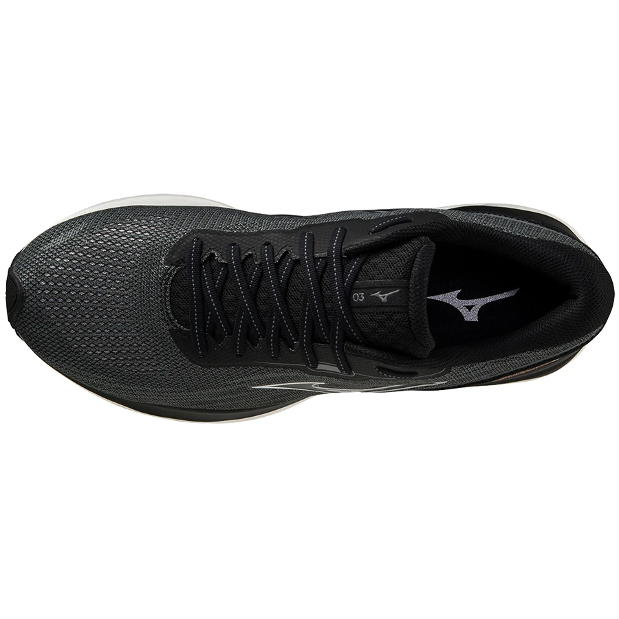 Heren hardloopschoenen Mizuno  Wave Skyrise 3 Black/Silver