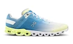 Heren hardloopschoenen On  Cloudflow Dust/Seedling