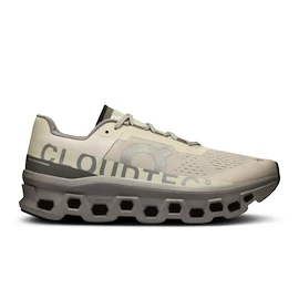 Heren hardloopschoenen On Cloudmonster Ice/Alloy