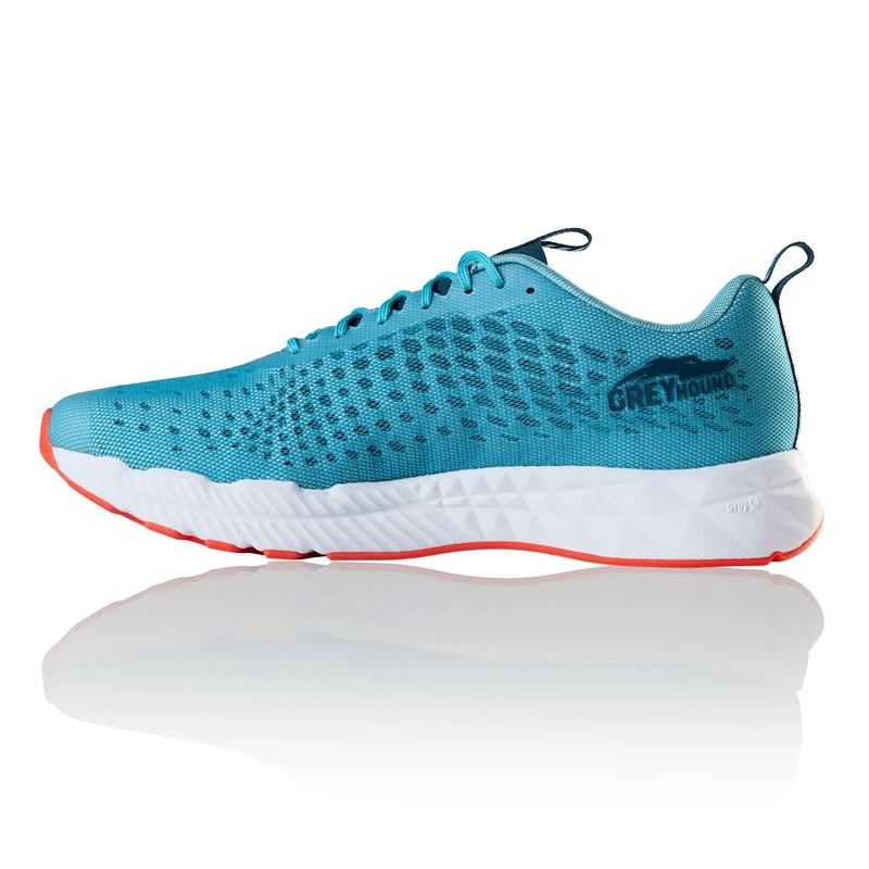 Heren hardloopschoenen Salming  Greyhound blue  UK 11,5