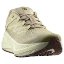 Heren hardloopschoenen Salomon Aero Glide 3 GRVL Green Haze/Vanilla Ice/Russet