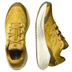 Heren hardloopschoenen Salomon Aero Glide 3 GRVL Spicy Mustard/Vanilla Ice/Deep Lichen Green