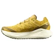 Heren hardloopschoenen Salomon Aero Glide 3 GRVL Spicy Mustard/Vanilla Ice/Deep Lichen Green