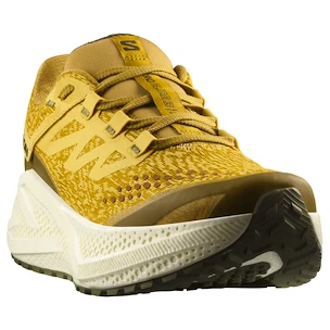 Heren hardloopschoenen Salomon Aero Glide 3 GRVL Spicy Mustard/Vanilla Ice/Deep Lichen Green