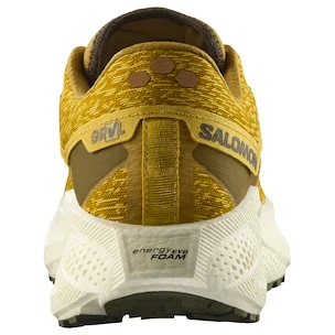 Heren hardloopschoenen Salomon Aero Glide 3 GRVL Spicy Mustard/Vanilla Ice/Deep Lichen Green