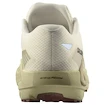 Heren hardloopschoenen Salomon DRX Defy Grvl Vanilla Ice/Green Haze/White Pepper