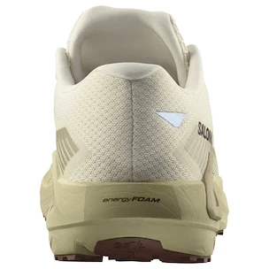Heren hardloopschoenen Salomon DRX Defy Grvl Vanilla Ice/Green Haze/White Pepper