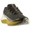 Heren hardloopschoenen Salomon DRX Defy Grvl Wren/Spicy Mustard/Vanilla Ice