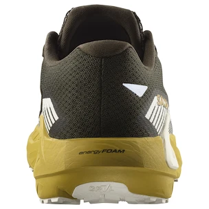 Heren hardloopschoenen Salomon DRX Defy Grvl Wren/Spicy Mustard/Vanilla Ice