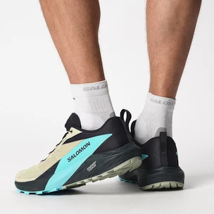 Heren hardloopschoenen Salomon Sense Ride 5 Alfalfa / Carbon / Peacock Blue  UK 9