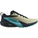 Heren hardloopschoenen Salomon Sense Ride 5 Alfalfa / Carbon / Peacock Blue  UK 9