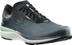 Heren hardloopschoenen Salomon  Sonic 4 Accelerate Quiet Shade