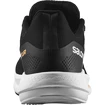 Heren hardloopschoenen Salomon Spectur Spectur Black