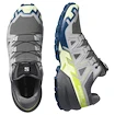 Heren hardloopschoenen Salomon Speedcross 6 Castlerock/Lime Cream/Poseidon