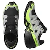 Heren hardloopschoenen Salomon Speedcross 6 Gore-Tex Black/Alloy/Green Gecko